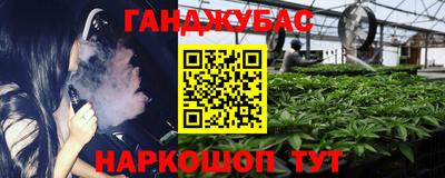 индика Можга