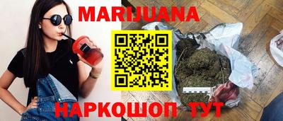 индика Можга