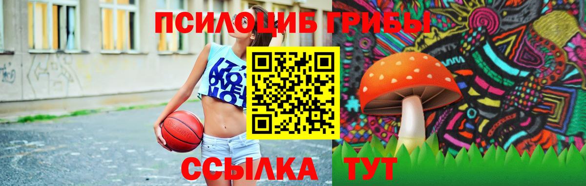 Псилоцибиновые грибы мицелий Учалы